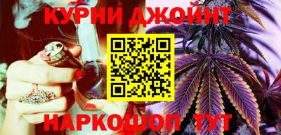 индика Дмитров